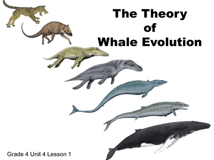 WildNaturalBeastMachines,